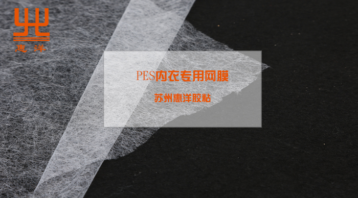 PES內(nèi)衣專用網(wǎng)膜.jpg