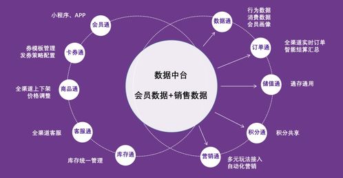 紫日軟件導(dǎo)購(gòu)?fù)?.0 直連消費(fèi)者，驅(qū)動(dòng)銷(xiāo)量暴漲的智能銷(xiāo)售解決方案